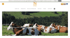 Desktop Screenshot of laboratorios-pino.com